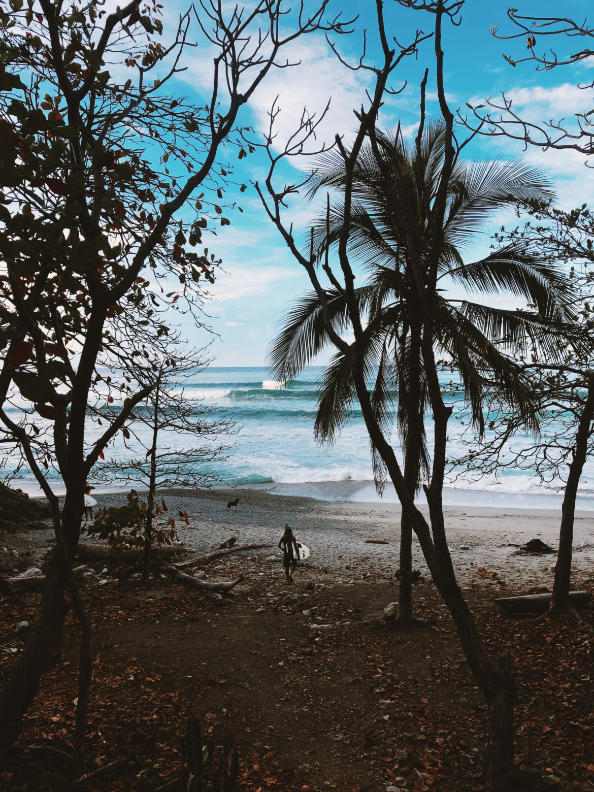 UN SURFTRIP AU COSTA RICA : L&rsquo;INOUBLIABLE VIRAGE À DEUX JOURS DU DÉPART