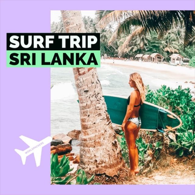 Le Sri Lanka .. 
Cette belle presqu’île au sud de l’Inde, rythmée par son climat tropical, ses Tuk Tuk, ses sourires, ses odeurs d’épices enivrantes, ses jungles, sa culture, son histoire et ses longueurs de côtes surfables ..
Un pays où simplicité, facilité, authenticité raisonnent et où les vagues déferlent encore dans nos rêves .. 

👉Nous avions inauguré Takeabreathedition avec cet article. Et nous t’avions fait un combiné de nos deux voyages pour te partager, nos meilleurs plans pour y partir avec tes boards et profiter sur place avec peu de sous . 😉 

💬Tu y as déjà été au Sri Lanka ?
Quel a été ton voyage memorable ? 

#surftrip #surftravel #oceanindien #turtle #oceanlovers #surfgirl #surfeuse #surfer #surfmagazine #surflife #waves #earth #srilankatrip #srilankasurf #takeabreathedition #customindtravel //