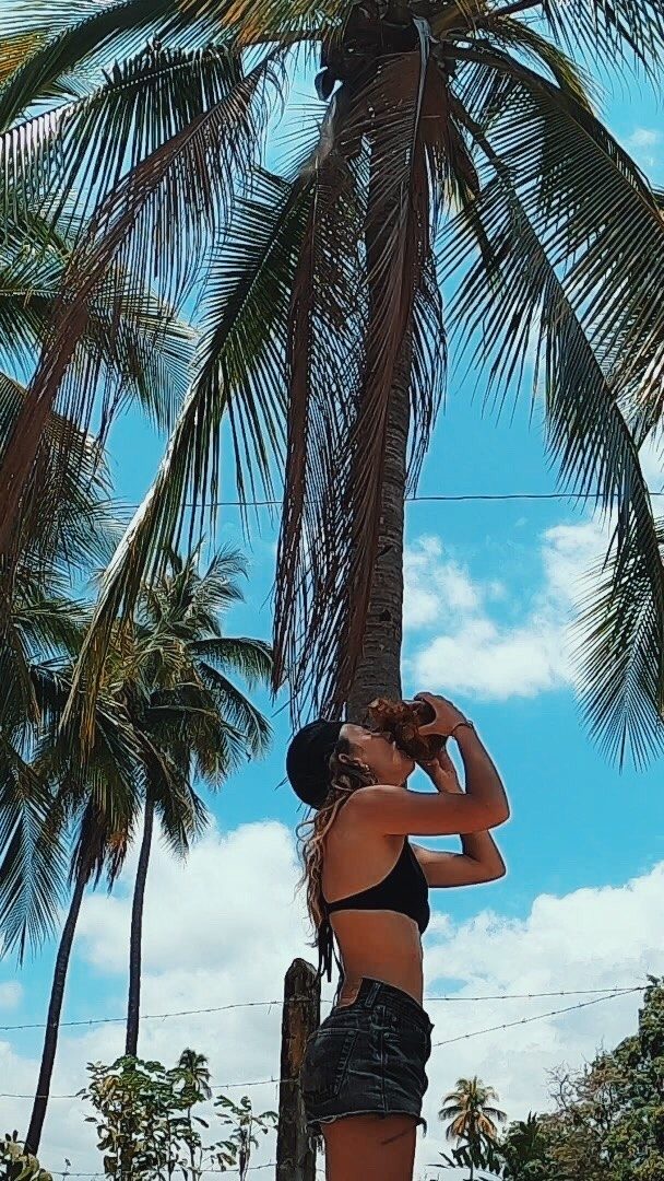 COSTA RICA 🇨🇷 
À pieds, à vélo, nous arpentons les chemins de traverses, les pistes poussiéreuses, rocailleuses, les mangroves, la jungle sous un soleil de plomb, pour atteindre ce qui nous fait tant rêver, vibrer, et nous sentir vivant, les plages mystiques et hostiles, où la nature te rappelle, qu’elle est plus forte. 
Chaque jours passés ici, est un nouveau challenge. Si tu cherches la vague parfaite, au bout du monde, soit prêt à transpirer, à te dépasser et travailler la maîtrise de soi. 

#costarica #puravida #palmtrees #blogtravel #travelphotography #surf #surfer #surferlife #rootslife #tropicalvibes #ocean #naturelovers #ecotourism #waves #secretspot //