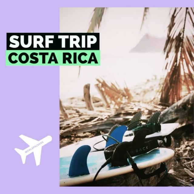 Movie dump ✨ 
1. Mourir au paradis, est un comble ! 
L’anecdote en 🔗 dans la bio 🐊
2. « C’est le spot, mon pote » mais … que pour les courageux 😅
3. Ne partons pas sans avoir vue la conopée ! 👀🦜
 
#costarica #puravida #surftrip #surfmagazine #voyage